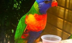 Et pendant ce temps là...