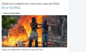 Les yeux loli du Nouvel Observateur