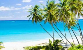 Mais comment font ils ? C'est quoi la #gouvernance ? C'est quoi l'#ingénierie ?