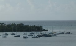 La Guadeloupe ? Le pire souvenir de vacances de Mathieu Bastareaud