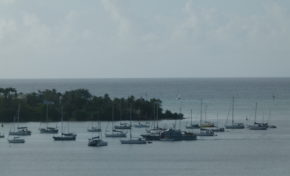 La Guadeloupe ? Le pire souvenir de vacances de Mathieu Bastareaud