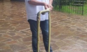 Neg ki paka fè lafet