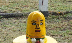 Regards sur notre patrimoine indien au CDST