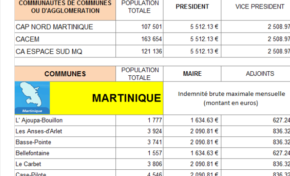 Indemnités des élus : plus de transparence, pour plus de confiance ?