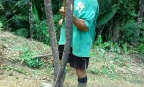 Un serpent de près de 3 m capturé au Lorrain en #Martinique