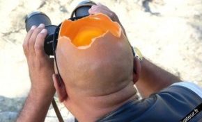 #Medef tête d'œuf ou cervelle d'oiseau ?