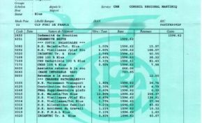 Indemnités des élus en #Martinique : la conseillère régionale Sandrine Saint-Aimé joue la transparence