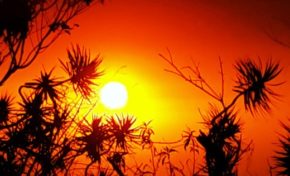 Images du jour (4 octobre 2014)