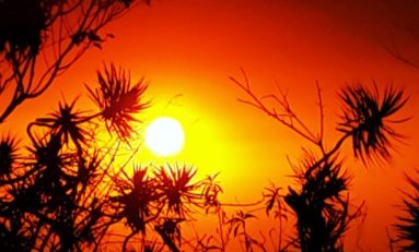 Images du jour (4 octobre 2014)