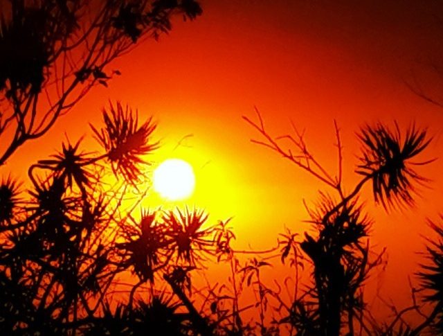 Images du jour (4 octobre 2014)