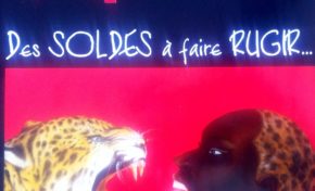 L'image du jour (5 octobre 2014)