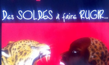 L'image du jour (5 octobre 2014)