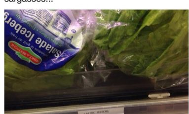 La salade Iceberg...ça me laisse de glace