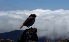 Images du jour (15 octobre 2014)