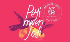 Quand le #créole manque d'ingénierie régionale