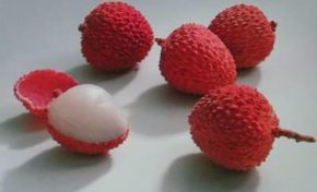 Au lieu de 4 000 prétendues créations d’emplois, la #Martinique a perdu plus de  5 600 emplois sous Serge #Letchimy  et il y a plus de 6 000 chômeurs en plus depuis 2010.