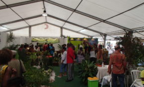 APRES LES DECLARATIONS DU PRESIDENT DE REGION #MARTINIQUE A LA TELE....