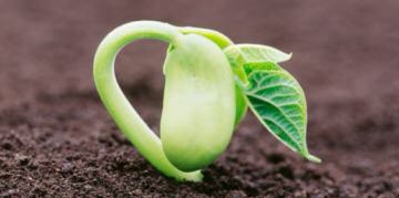 Le proverbe du siècle