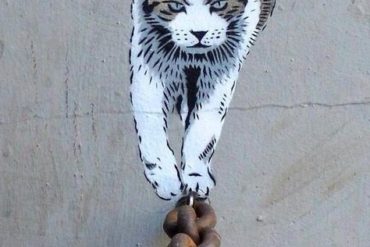 Le #tweet de l'année 2014