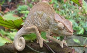 L'image du jour (16 novembre 2014) - #lareunion