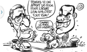 L'image du jour (20 novembre 2014) - #Martinique