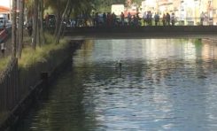 #Martinique : il tente d'échapper à la police en plongeant dans le canal Levassor