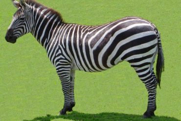 La question du jour - 11 décembre 2014