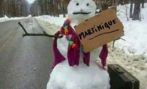 L'image du jour (15 décembre 2014)