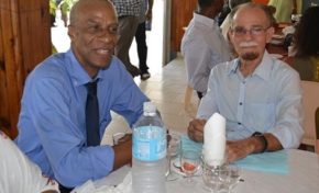 Et le MIM fit dans le mimétisme