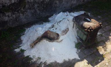 Un #cadavre suspect dans les ruines du théâtre de Saint-Pierre en #Martinique