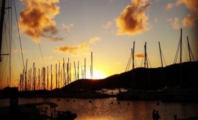 L'image du jour (29 décembre 2014) #martinique