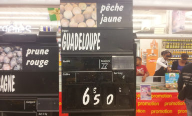 Des pêches jaunes sous les tropiques ? La Guadeloupe l’a fait !