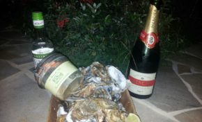 Bonne Année 2015, tout n'est pas perdu...