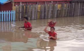 Malgré le désastre ...ils gardent le sourire