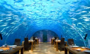 Certains en rêve !!!