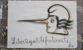 Conseil régional de la #Martinique...de la démocratie participative au  macoutisme du même nom ?