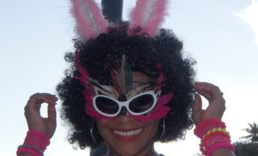 Qui sera le bwa-bwa 2015 du Carnaval Martiniquais ?