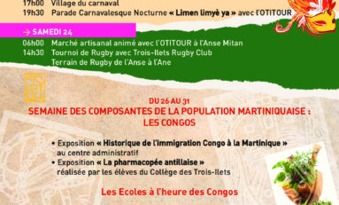 «  Historique  de l'immigration Congo à la Martinique »