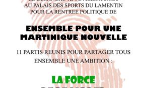 Ensemble Pour une #Martinique Nouvelle...bon sang c'est le jour du saigneur