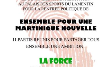 Ensemble Pour une #Martinique Nouvelle...bon sang c'est le jour du saigneur