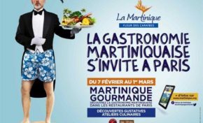 L'image du jour ( 7 février 2015) #france #paris #martinique