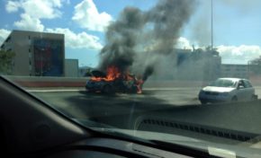 Images du jour (15 février 2015) #martinique