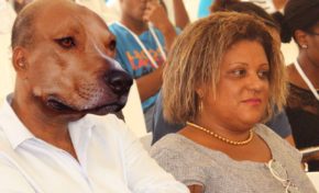 Chien abiyé  an Moun ?