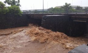 L'île de La Réunion en mode #Haliba liba