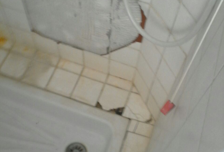 La chambre [109] a vraiment besoin de [sang neuf]