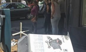 Journée foyalaise de la #biodiversité ?