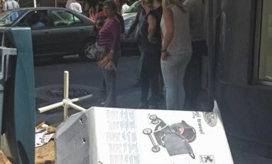 Journée foyalaise de la #biodiversité ?