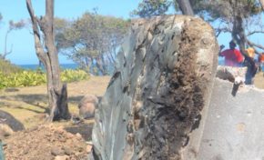 La #Guadeloupe DJOK a dit ..."Pa rès...stèle la"