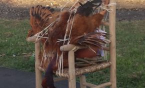 Images du jour (04/04/15) #martinique