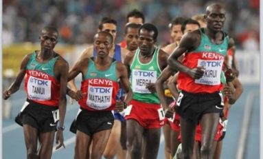 L'image du jour (05/04/15) #jesuiskenya